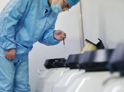 胚胎移植后能不能吃草莓？听听专家怎么说！