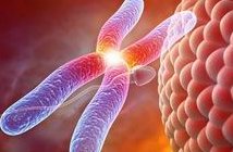 2026香格里拉市最新男性陪产假有多少天？试管婴儿可以增加产假吗？