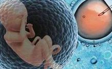 2026珠海试管婴儿医院推荐，哪家医院试管成功率最高？